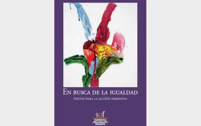 En busca de la igualdad: Textos para la acción feminista (2013)