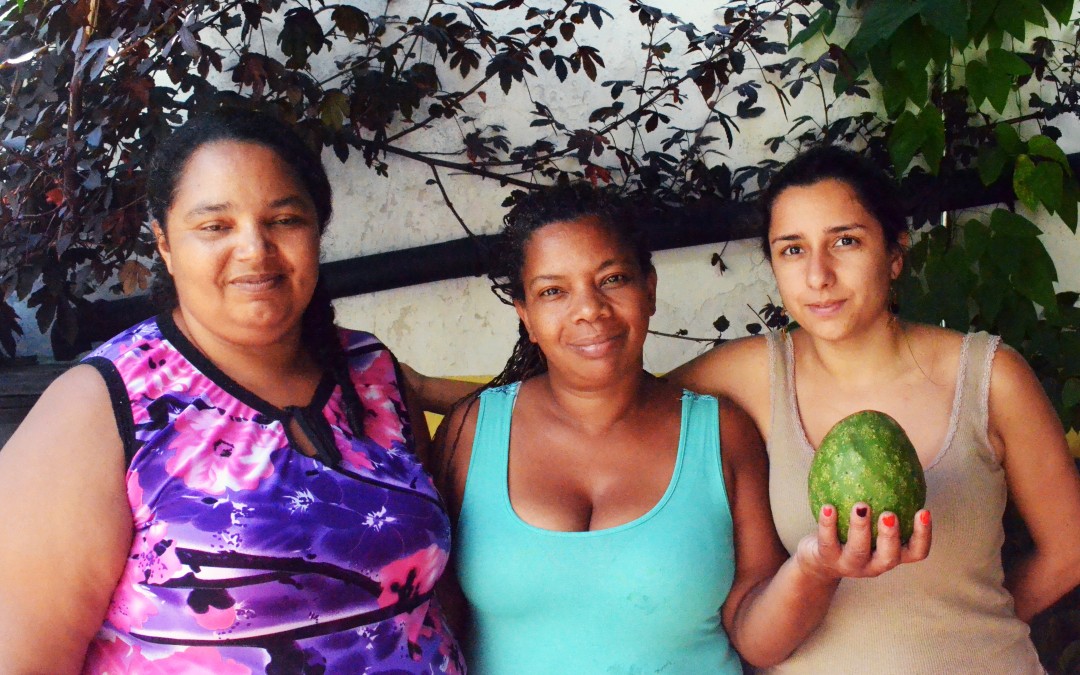 Alimentos agroecológicos produzidos por mulheres chegam a São Paulo para comercialização