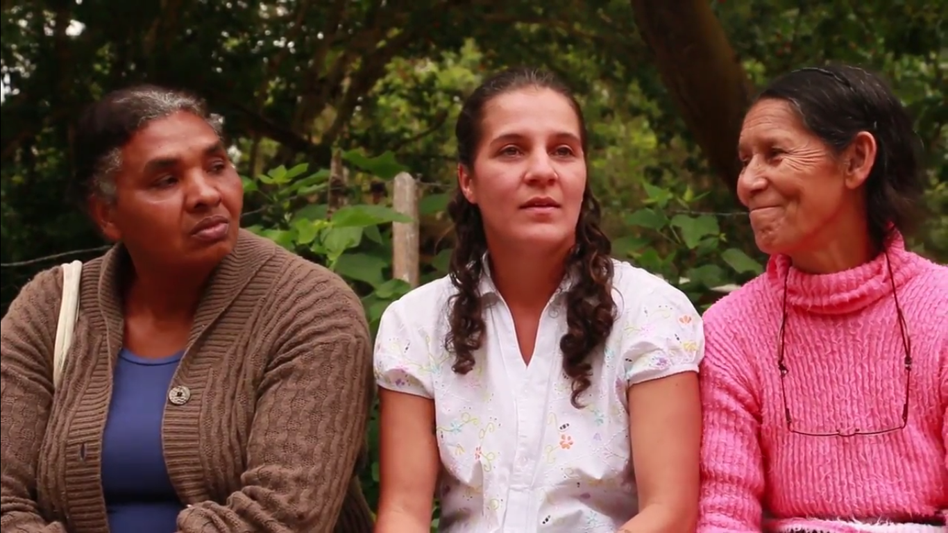 capa-agroecologia e feminismo