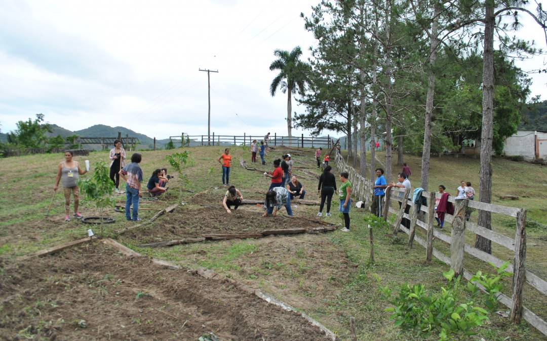 Mulheres do Vale do Ribeira participam de formação sobre economia feminista e agroecologia