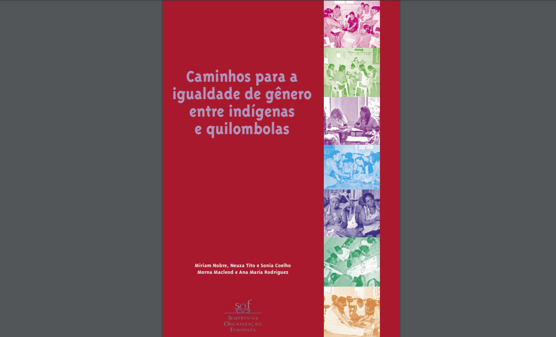 Caminhos para a igualdade de gênero entre indígenas e quilombolas (2006)