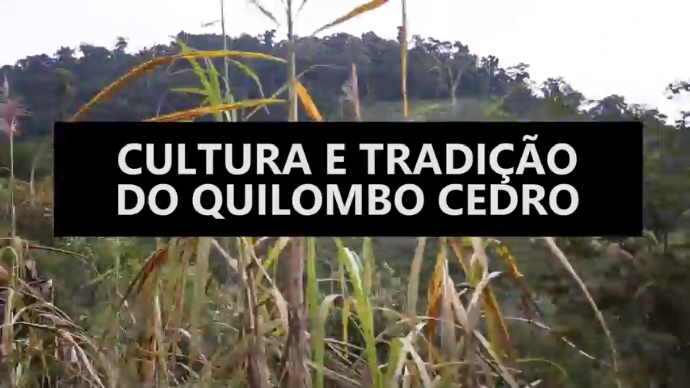 cultura-tradicao-cedro