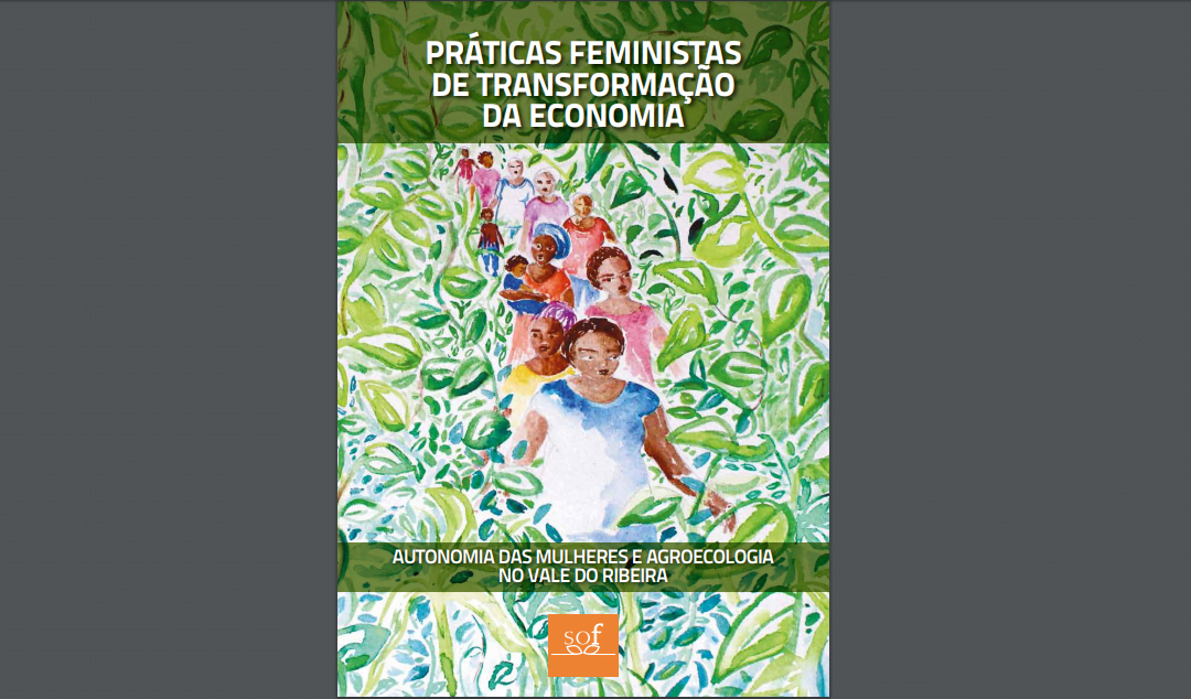 Práticas feministas de transformação da economia: autonomia das mulheres e agroecologia no Vale do Ribeira