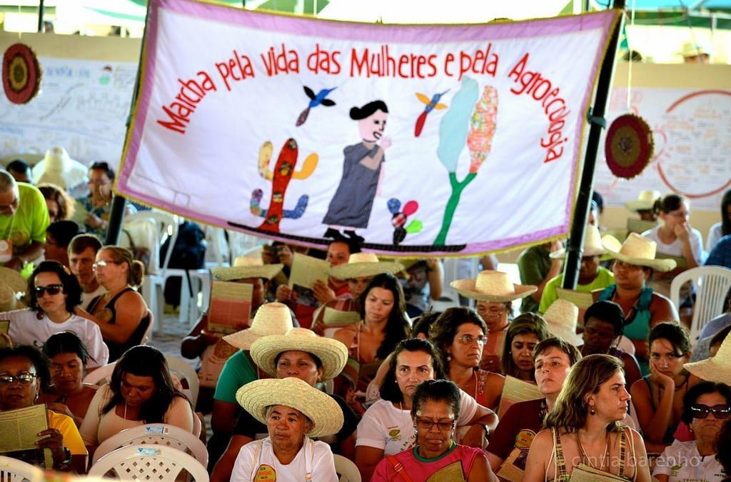 A nossa luta é todo dia: Feminismo pela agroecologia e pela democracia