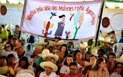 A nossa luta é todo dia: Feminismo pela agroecologia e pela democracia