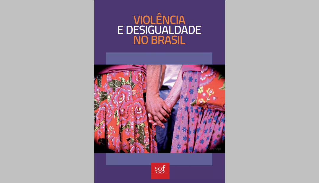 Violência e desigualdade no Brasil