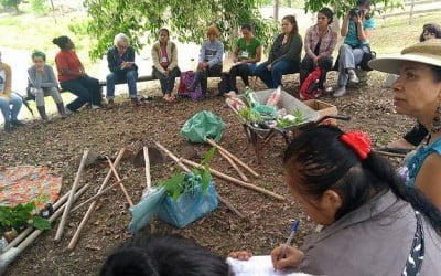 Economia feminista, uma forma de organização que tem mudado vidas no Vale do Ribeira