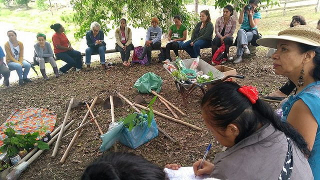 Economia feminista, uma forma de organização que tem mudado vidas no Vale do Ribeira