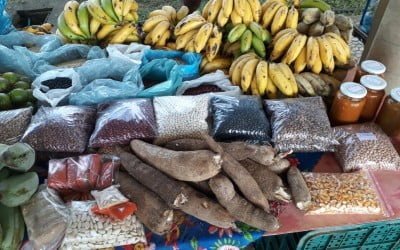 Feira de Agroecologia e Economia Solidária de Registro completa um ano