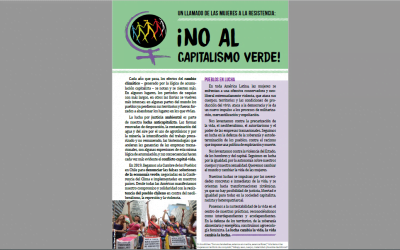 Folheto | Un llamado de las mujeres a la resistencia: ¡no al capitalismo verde!