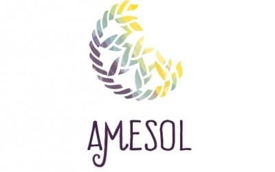 AMESOL começa 2020 de cara nova