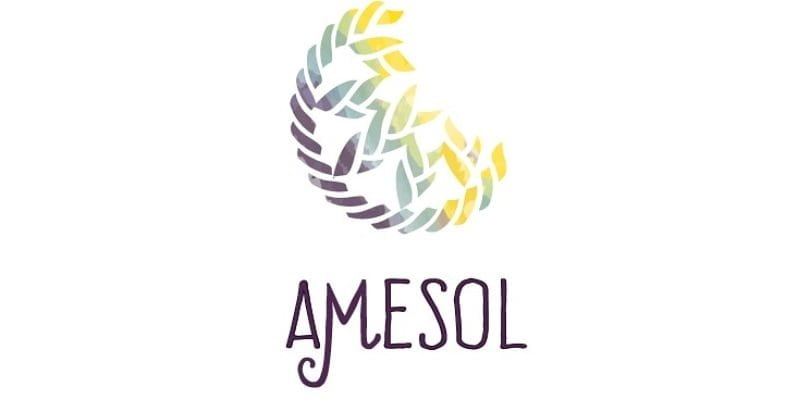 AMESOL começa 2020 de cara nova