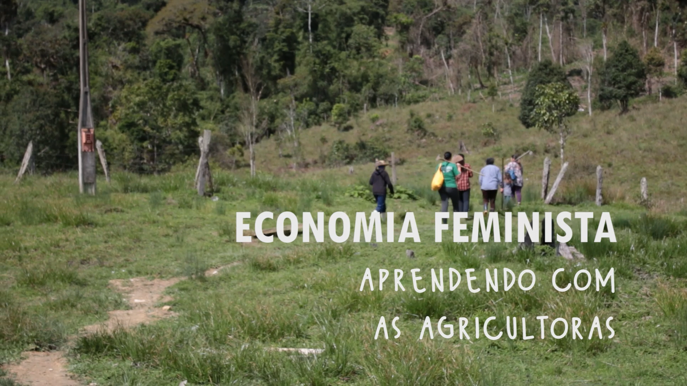 capa economia feminista portugues