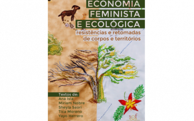 Economia feminista e ecológica: resistências e retomadas de corpos e territórios