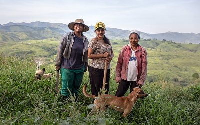 Coluna Sempreviva | Alimentação em tempos de coronavírus