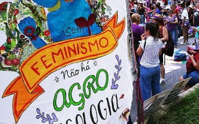 Coluna Sempreviva | Mulheres em rede, agroecologia, cuidados e resistências no Fórum Popular da Natureza