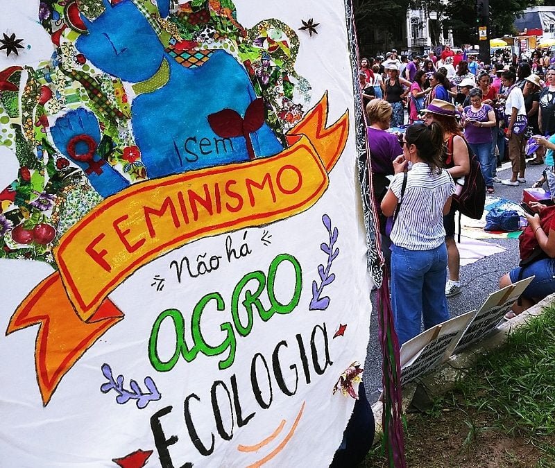 Coluna Sempreviva | Mulheres em rede, agroecologia, cuidados e resistências no Fórum Popular da Natureza