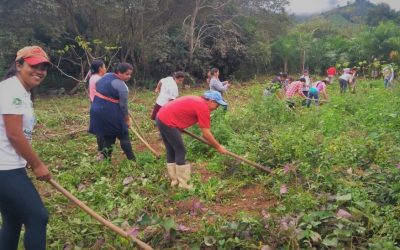 SOF e Instituto Federal de São Paulo apresentam Curso Experimental Técnico em Agroecologia voltado para mulheres agricultoras durante consulta pública