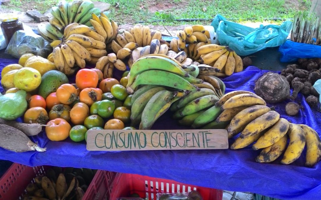 Estudo sistematiza como iniciativas de consumo responsável em São Paulo fortalecem soberania alimentar no campo e na cidade