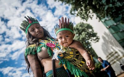 Contra o PL 490: a natureza, a diversidade e as experiências das mulheres