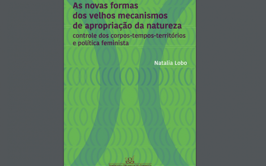 As novas formas dos velhos mecanismos de apropriação da natureza: controle dos corpos-tempos-territórios e política feminista