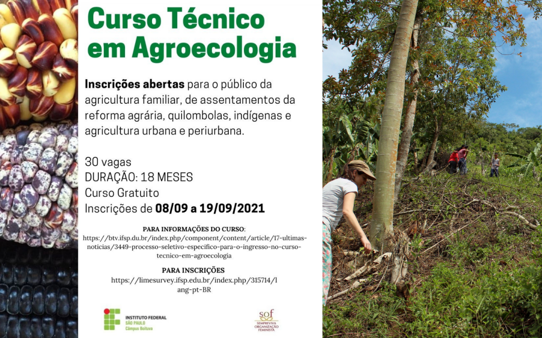 Curso Técnico em Agroecologia da SOF e IFSP voltado para mulheres agricultoras tem início ainda neste semestre