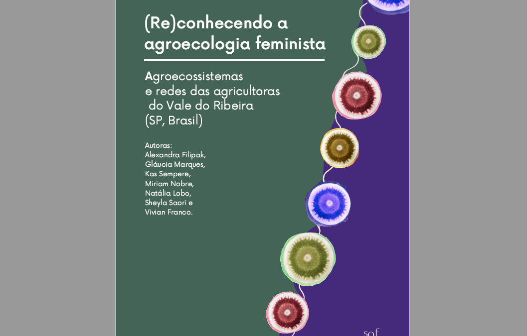 (Re)conhecendo a agroecologia feminista – Agroecossistemas e redes das agricultoras do Vale do Ribeira (SP, Brasil)