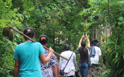 Materiais da SOF sobre agroecologia