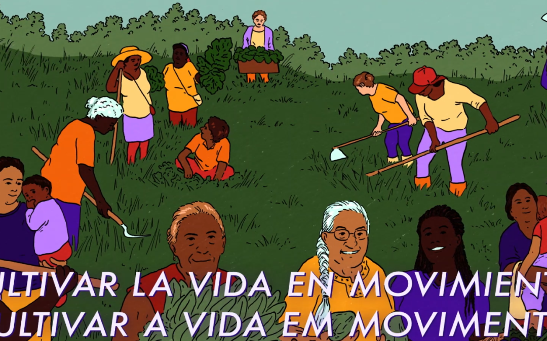 Assista “Cultivar a vida em movimento”, série de vídeos sobre agroecologia, solidariedade e economia feminista