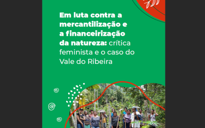 Em luta contra a mercantilização e a financeirização da natureza: crítica feminista e o caso do Vale do Ribeira