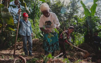 Agroecologia feminista para enfrentar os incêndios criminosos no Brasil