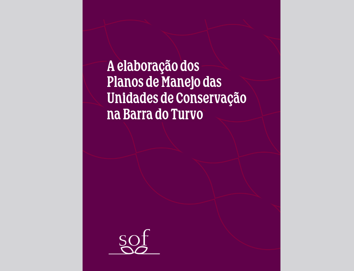 Captura de tela de 2026-07-31 17-10-19