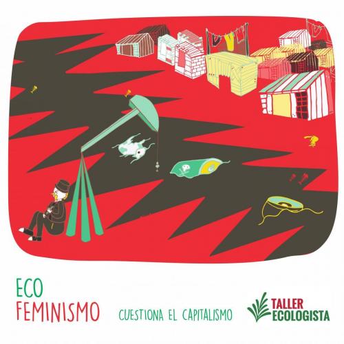 18-Sem-título-Taller-Ecologista.-Argentina-2020 
